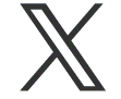 公式X