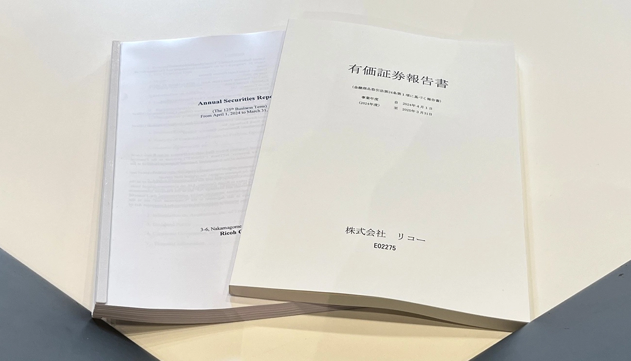 有価証券報告書（イメージ）
