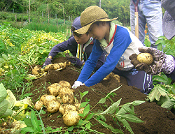 画像：市村自然塾 関東