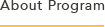 About Program