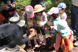 子供たちが植物観察をする様子