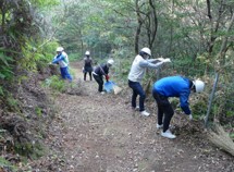 遊歩道整備、森林整備の様子