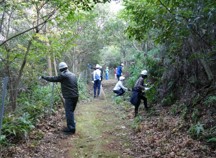 遊歩道整備、森林整備の様子