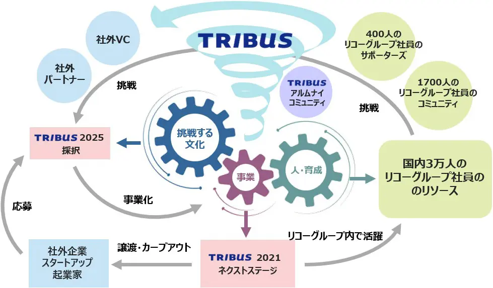 概略図