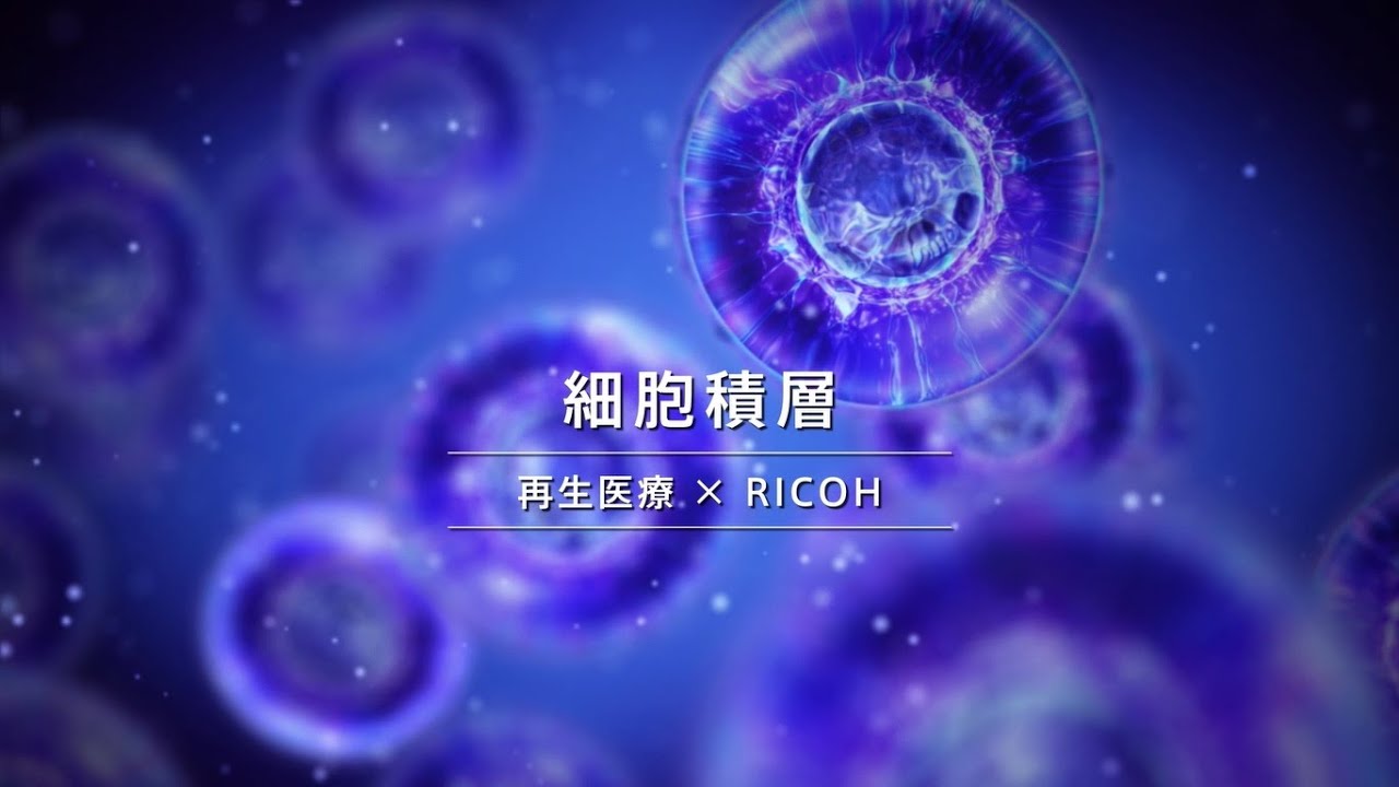細胞積層